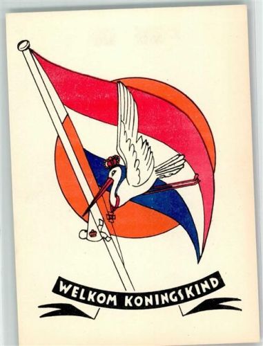 Storch Fahne Welkom Koningskind