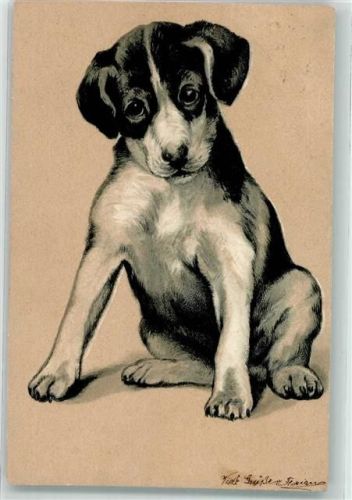 Jack Russel Lithographie Terrier 1902 Prägedruck
