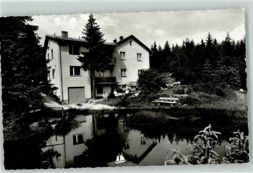 Fleckl Pension Haus am Wald Teich Modelboot