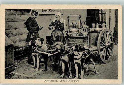 1915 Laitiere Flamande Kontrolleur Polizei