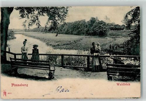 Pinneberg 1902 Waldblick