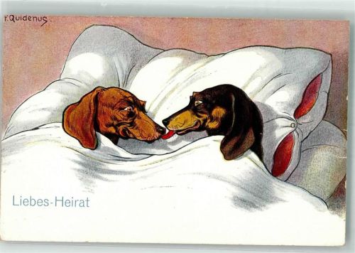 Dackel Liebes-Heirat Humor Quidenus, F.