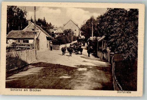 Schierke Dorfstrasse Kühe