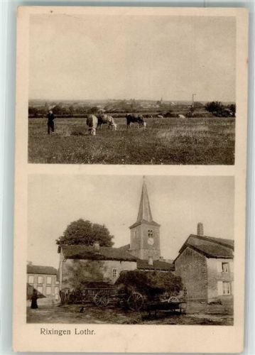 57810 Rechicourt-le-Chateau 1915 - Kühe