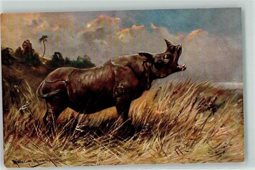 Nashorn Serie 410