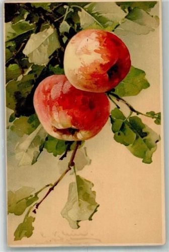 Meissner u. Buch Künstler Postkarten Serie 1422 Herbstzeit goldene Zeit Äpfel