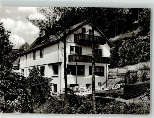 Willingen Pension Haus Waldesruh