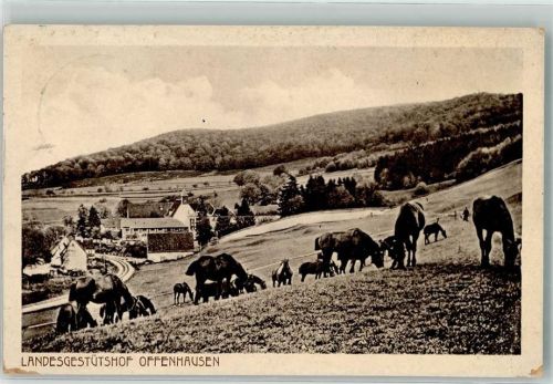 Offenhausen 1913 Landesgestthof Bahnpost