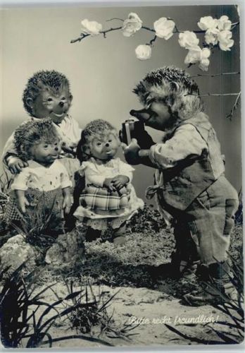 Mecki mit Fotoapparat Hör Zu Nr. 21