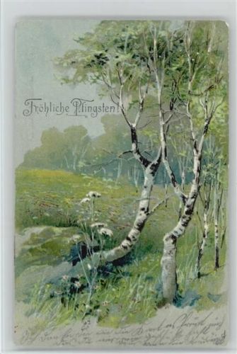 Birkenbäume ca 1903 AK