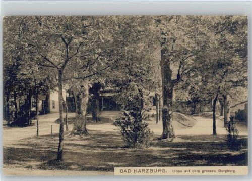 Bad Harzburg Hotel auf dem grossen Burgberg