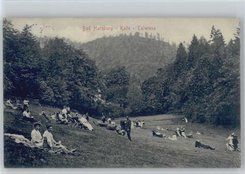 Bad Harzburg Kalte Talwiese