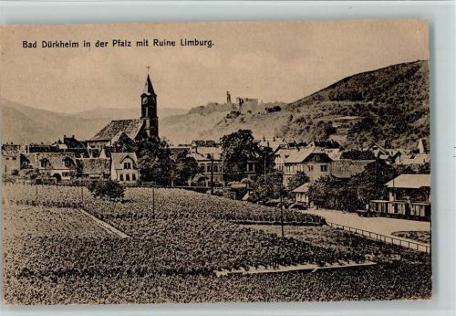 Bad Dürkheim Ortsansicht mit Ruine Limburg