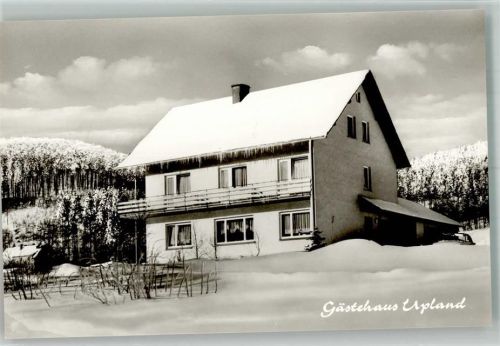 Willingen Gästehaus Upland Winter