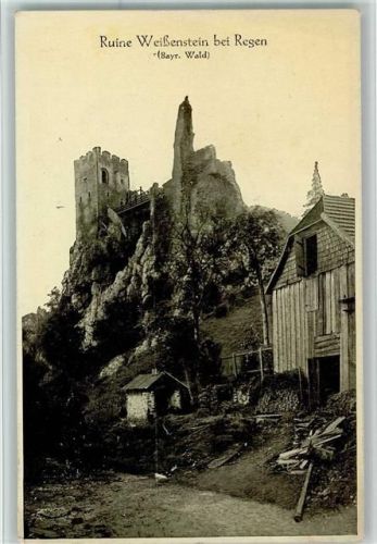 Regen Ruine Weißenstein