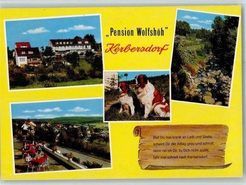 Kerbersdorf Pension Wolfshöh Bernhardiner 4-Bildaufnahme