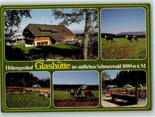 Glashütte Höhengasthof Glashütte Brunnen Kühe Mehrfachaufnahme