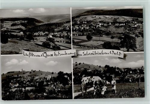 Jux Ortsansichten Kuh 4-Bildaufnahme