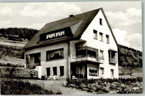 Willingen Pension Friedrichsruh