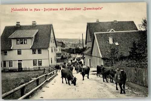 Hahnenklee Dorfstraße Rindertrieb Die Hahnenkleeer Damenkapelle