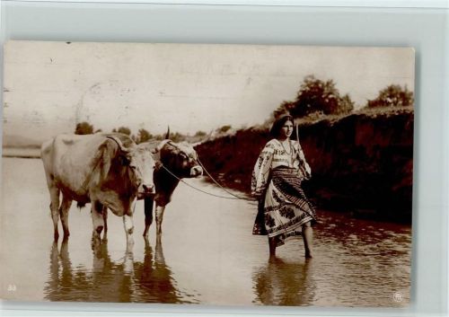 Bukarest Frau in Tracht mit Rinder