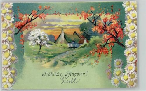 Blütenzweige - Margeriten Blumen - Litho 1913 AK