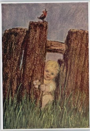 Nr. 373 - Guck in die Welt - Baby
