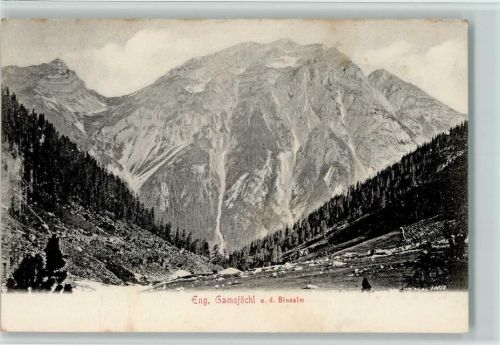 Gaschurn Gamsjöchl a.d. Binsalm