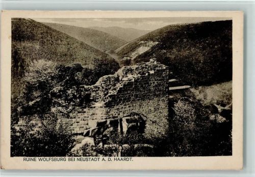 Neustadt Ruine Wolfsburg