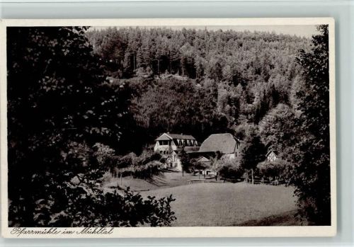Bad Klosterlausnitz Pfarrmühle Mühltal