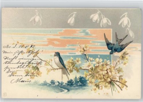 Litho Blumen 1902 AK Jugendstil Schwalbe Künstlerkarte