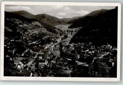 Wolfach Blick vom Wolfberg Gesamtansicht