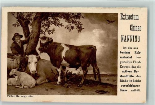 Extractum Chinae Nanning - Naturheilmittel Werbung
