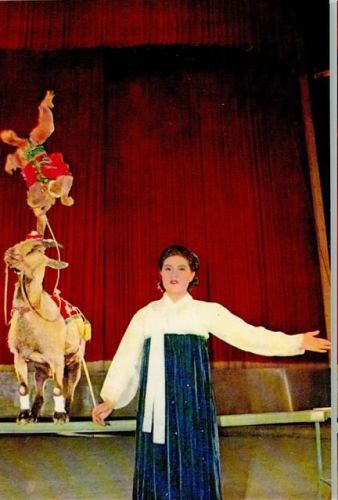 Le singe et la chevre - Le Cirque national de Pyongyang - China