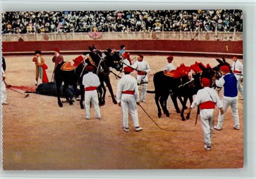 Nimes Stierkampfarena Getöteter Stier wird vom Platz gezogen