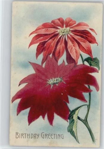 1916 Birthday Greeting Blume , Samtapplikation
