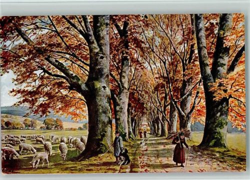 Schäfer mit Hund, Reisigsammlerin - Jahreszeiten 4 Dess. 1900 AK BMW