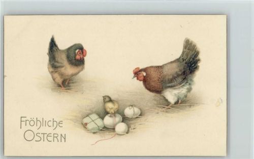 1915 Geflügel . Hühner mit einen Küken , kleines Paket liegt im Nest