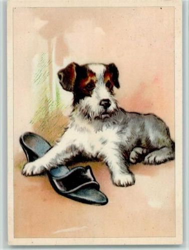 mit einem Damenschuh 1942 AK Terrier Künstlerkarte