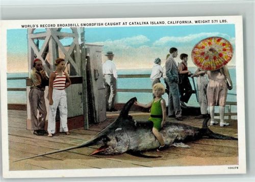 Großer Schwertfisch wurde gefangen - Catalina Island, Californien ca 1940 AK
