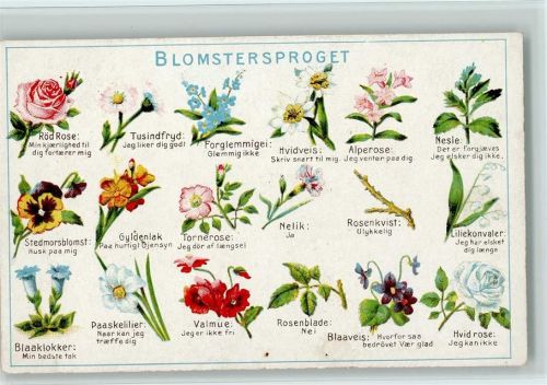 Blomensproget Blumensprache