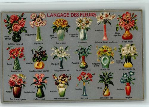 Nr. 4 Langage des Fleurs - Edition Guggenheim Nr. 13591 AK
