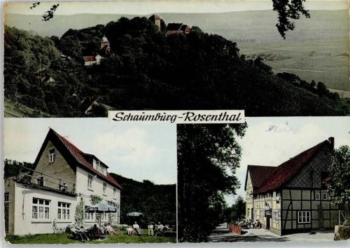 Rosenthal Ortsansichten Fachwerkhaus Gast- und Pensionshaus Fr. Menneking Terrasse 3-Bildaufnahme