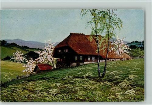 Schwarzwaldhäuser , Moos Serie V Nr. 7 AK