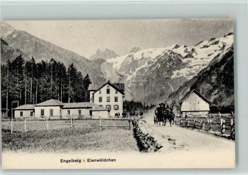 Engelberg Eienwäldchen Pferdekutsche