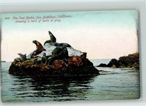 Nr. 5019 The Seal Rocks, San Fancisco USA