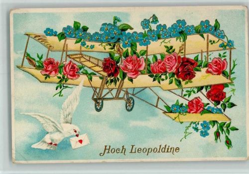 1912 HWB Serie 8762 - Hoch Leopoldine - Flugzeug Doppeldecker mit Rosen und Vergißmeinnicht