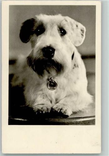 Foto 1957 AK