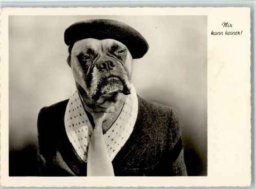 Nr. 3066 Gunkel - vermenschlichter Boxer mit Anzug, Schlips und Mütze