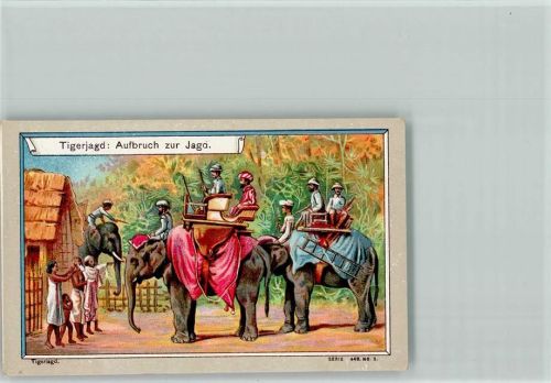 Sammelbild Serie 449-3 - Tigerjagd